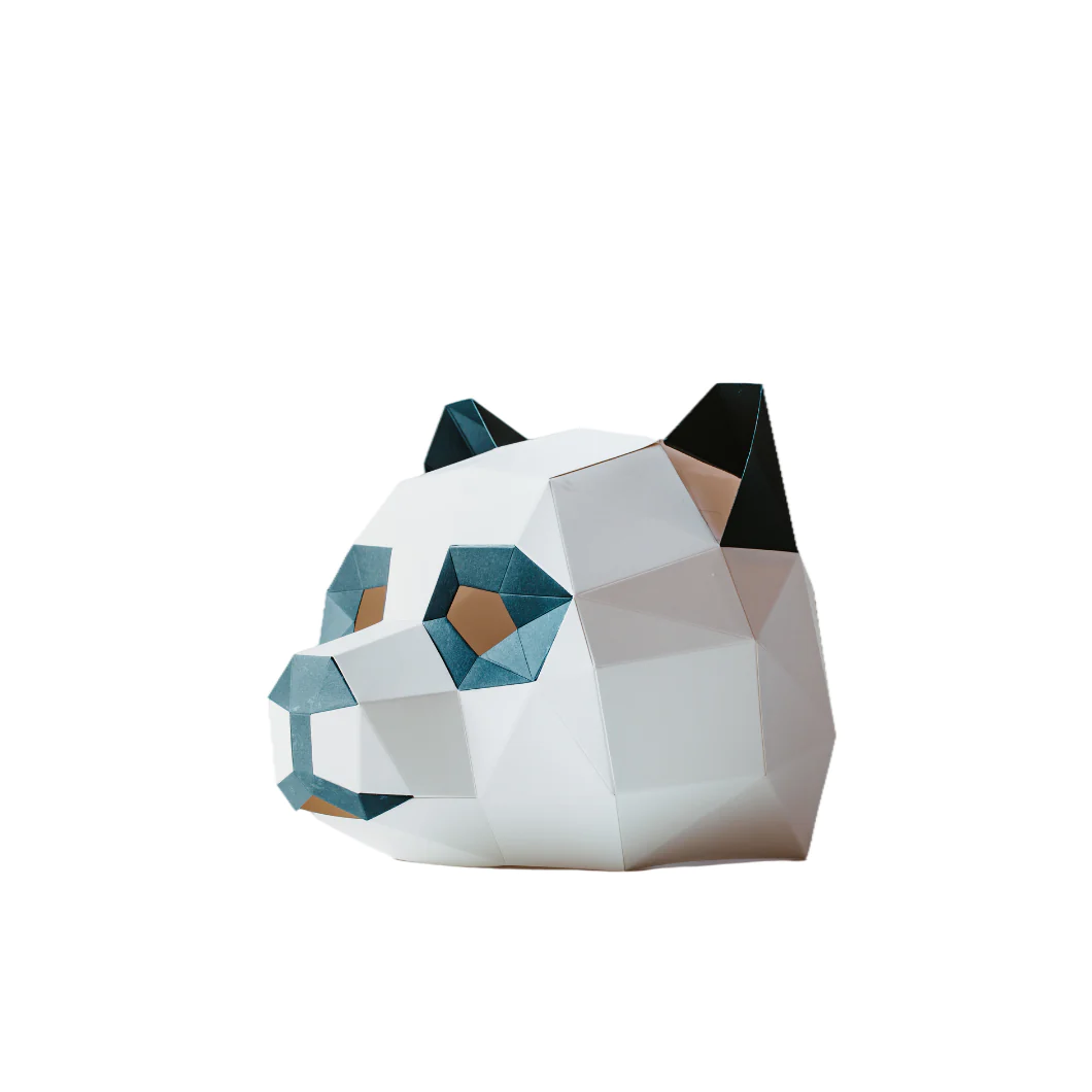 Cardboard Panda Mask