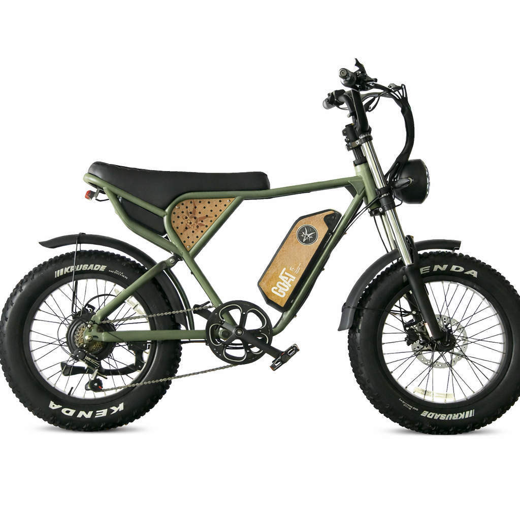 GOAT T3 Practical Fat Tire Electric Bike