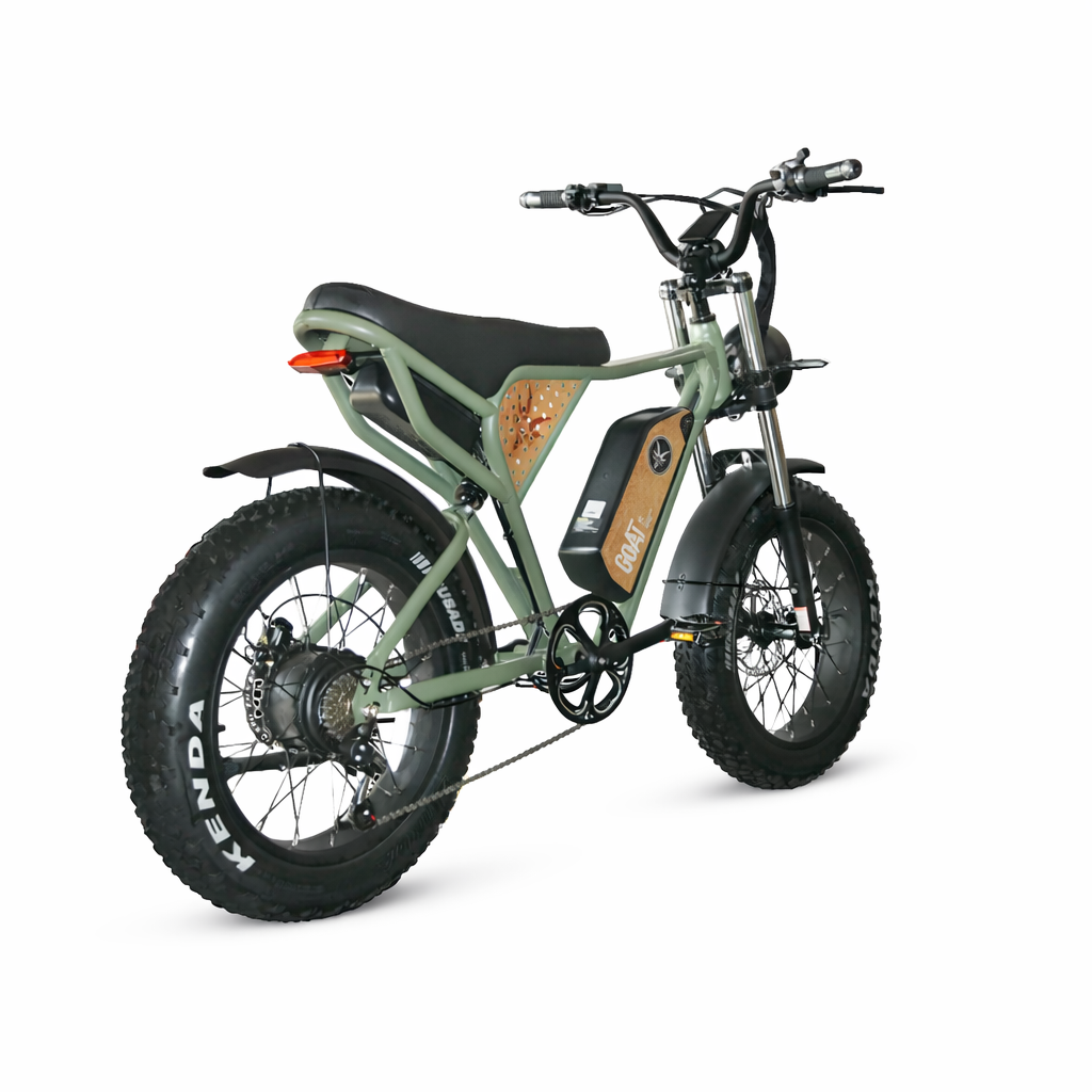 GOAT T3 Practical Fat Tire Electric Bike